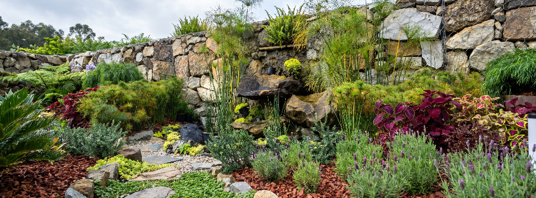 Jardinería y paisajismo